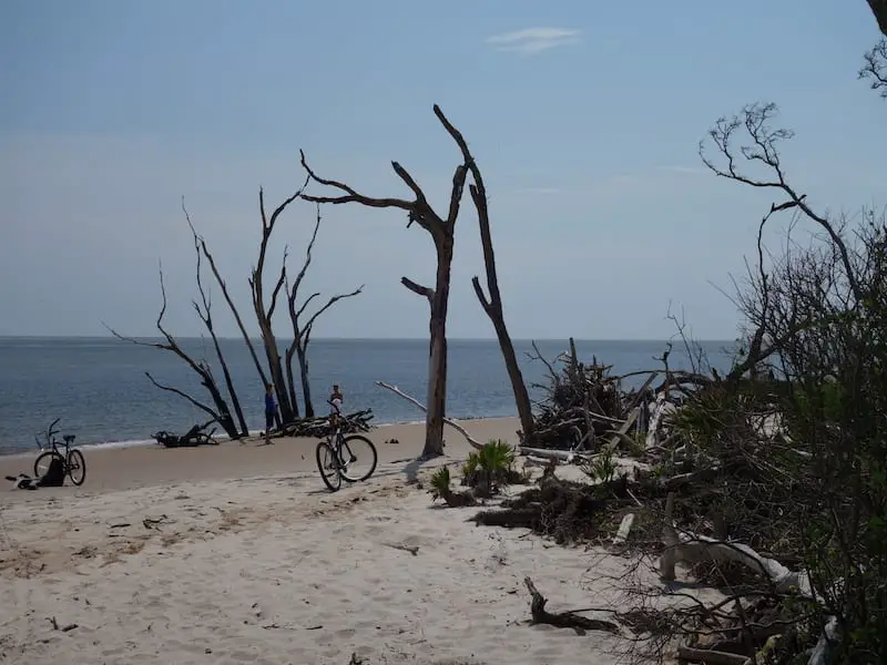 Boneyard Beach, Big Talbot Island State Park