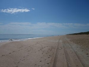 Canaveral National Seashore Beach Looking South