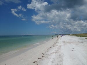 Caladesi Island Beach Looking North