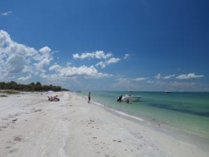 Caladesi Island Beach Looking South