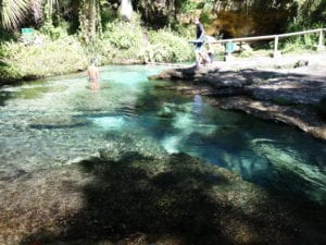 Kelly Park at Rock Springs Spring Head