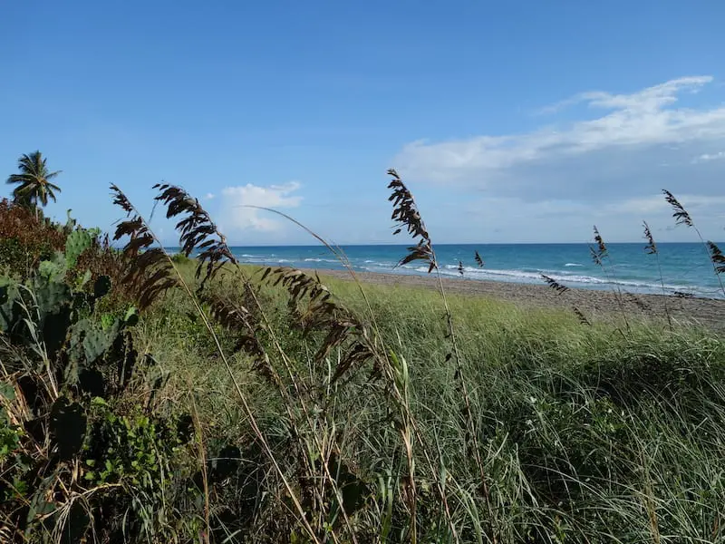 North Beach Park