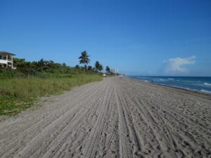 North Beach Park Looking North