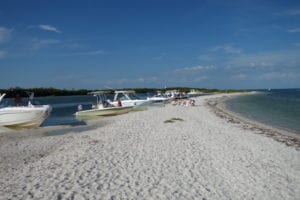 Pelican Pass Sandbar Cayo Costa 