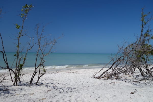 Beer Can Island Beach