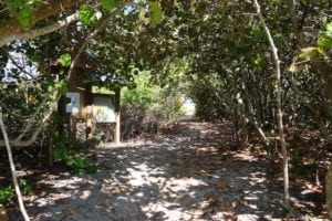 Peck Lake Beach Path