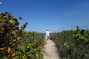 Peck Lake Beach Path 2