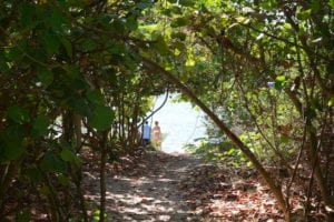 Peck Lake Beach Path 2