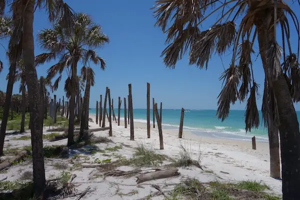 Egmont Key at the mouth of Tampa Bay. Amazing driftwood beach