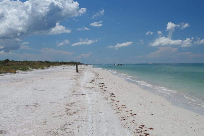 Caladesi Island near Clearwater has a great driftwood beach