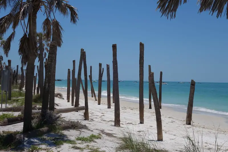 The Best Driftwood Beaches in Florida