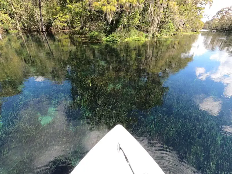 Boating On The Silver River in Silver Springs